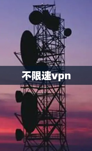 不限速vpn
